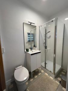 a white bathroom with a toilet and a shower at AU PETIT CHENE in Aire-sur-lʼAdour +11 photos