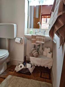 małą łazienkę z toaletą i umywalką w obiekcie Platanian traditional house w mieście Neo Karlowasi