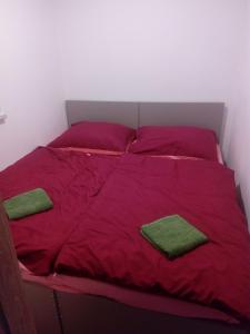 Ένα ή περισσότερα κρεβάτια σε δωμάτιο στο APARTMÁN PŘÍTLUKY - Zdeněk Bukovský