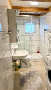 a bathroom with a sink and a toilet and a shower at Sonnenblick Ferienwohnung in Wirsberg