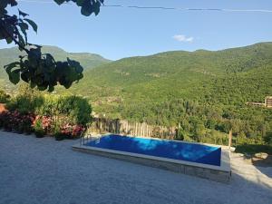 - une piscine avec vue sur les montagnes dans l'établissement Green Garden, à Ijevan