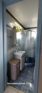 uma pequena casa de banho com um lavatório e um chuveiro em Villa Kalliope em Keramoti