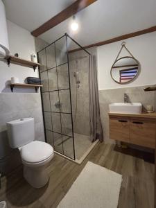 a bathroom with a shower and a toilet and a sink at RELAX HOME Visoko in Visoko