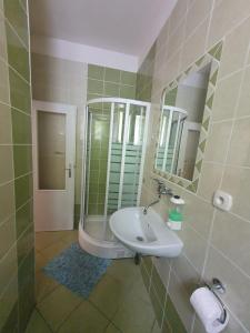 a bathroom with a sink and a shower at Apartmány Slavín in Sklené Teplice +33 photos