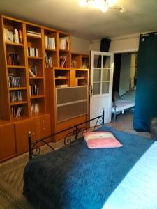 a bedroom with a bed and book shelves at chez Maticouli in Gaillac