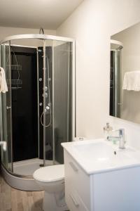 ein Bad mit einer Dusche, einem WC und einem Waschbecken in der Unterkunft Villa Vichéia - Appartement 31 in Vichy