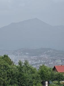 a view of a city with trees and buildings at La bella vue in Osenjače