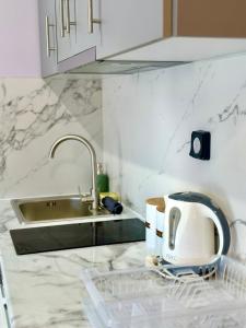 eine Küchentheke mit einem Toaster und einer Spüle in der Unterkunft Anemos Studios & Apartments in Póros