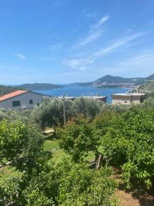 a view of a large body of water with trees at Green Olive 3 in Budva