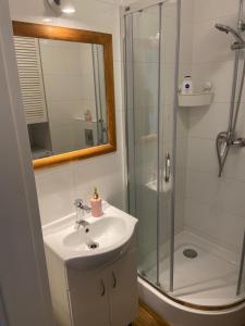 a bathroom with a sink and a shower at Apartament Modlińska in Warsaw