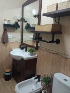 La salle de bains est pourvue d'un lavabo, d'un miroir et de toilettes. dans l'établissement Sela Playa, à Roquetas de Mar