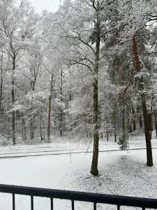 a snow covered park with trees and a fence at Apartament pod ŚWIERKIEM in Krupski Młyn