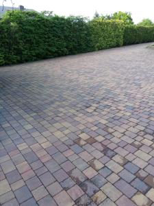 Imagen de la galería de Apartament 76, en Bachowice