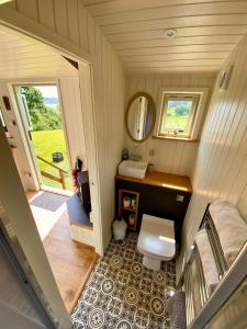 a bathroom with a toilet and a sink and a mirror at Shepherds Hut, Conwy Valley in Conwy