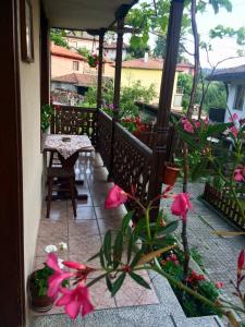 Zahrada ubytování Guest Rooms Dona