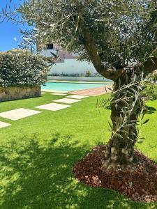 A garden outside Appartamento incantevole con piscina