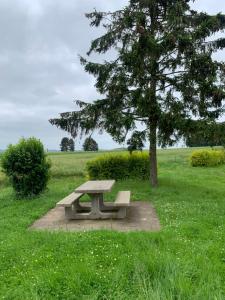 um banco de piquenique num campo com uma árvore em Les Almadies private Jacuzzi em Villeneuve-les-Sablons