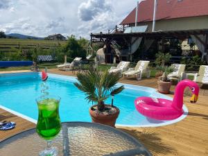 a swimming pool with a pink swan and a drink at Casa Genesini in Miercurea-Ciuc