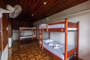 Двох'ярусне ліжко або двоярусні ліжка в номері Arenal Sloth Hostel