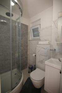 a bathroom with a toilet and a shower and a sink at Villa Muzo in Betina