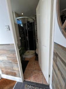 uma casa de banho com um chuveiro, um WC e um espelho. em Dana guest suite em Horley