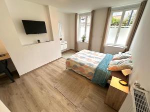 una camera da letto con un letto e una TV a parete di Le Cosy Dunkerquois Centre Ville a Dunkerque