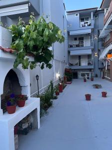 a courtyard with potted plants on the side of a building at F&M House Semi Basement in Sarti