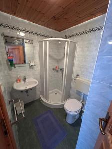 a bathroom with a shower and a toilet and a sink at Stres-less Sunny Apartments in Kobarid
