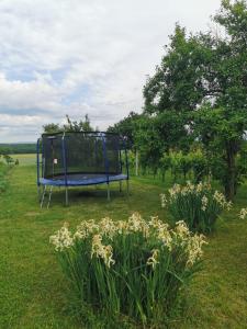 Billede fra billedgalleriet på Ubytování v soukromí u Jarušky na Moravě i Tvrdonice