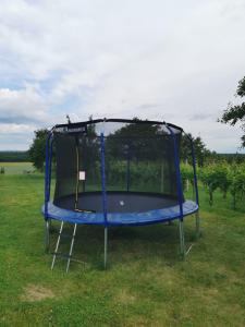 Billede fra billedgalleriet på Ubytování v soukromí u Jarušky na Moravě i Tvrdonice