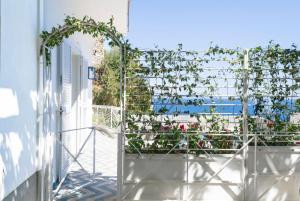 a pergola with roses on a house at o' mar - Amalfi Coast Suite in Praiano