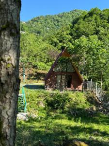 a small house in the middle of a field at Machakhela cottage in Batumi