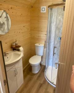 a bathroom with a toilet and a shower and a sink at Blaenplwyf Shire Pods in Lampeter +41 photos