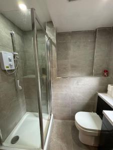 リバプールにあるWilliamson Suites - Apartment 1のシャワーとトイレ付きのバスルーム +6枚の写真