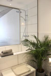 a bathroom with a shower and a potted plant at Vier Sind Hier Apartments in Rottweil