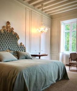 a bedroom with a large bed with a chandelier at Château de La Tour en Brenne in Rivarennes