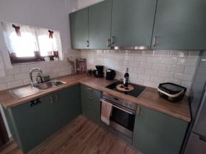 Una cocina con gabinetes verdes y un fregadero. en Pelion bee guesthouse, en Portaria