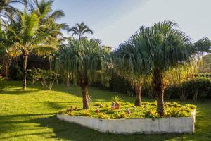 Casa Barco Ferradura في بوزيوس: حديقة فيها نخيل وزهور في حديقة