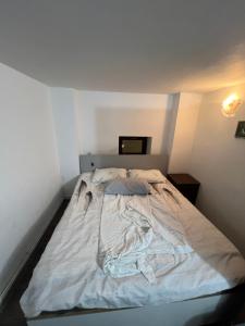Postel nebo postele na pokoji v ubytování Costin
