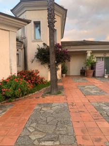 Budova, kde se apartmán nachází + 8 fotografií