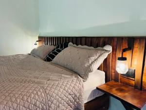 a bedroom with a bed and a table with a lamp at Ficus house in Boca Tapada +19 photos