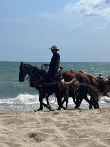 - un homme faisant une promenade en calèche sur la plage dans l'établissement Aria Ocean Playa Nuevo Vallarta, à Nuevo Vallarta