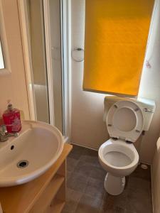 a bathroom with a white toilet and a sink at HARTS Holiday Park Home in Leysdown-on-Sea