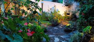 un giardino ricco di piante e fiori di Hotel Anáhuac a Juayúa