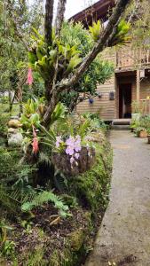 Giardino di Beehouse Arví Cabaña
