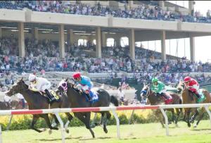 a group of horses racing in a horse race at Sand Pebbles Resort - Amazing 2 Bedroom Condo Right by the Beaches & Attractions in Solana Beach