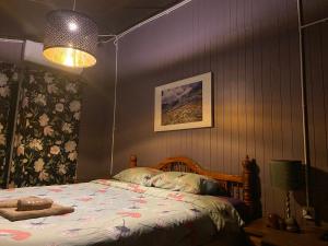 um quarto com uma cama e um candeeiro em Jung Ja Hut em Sai Yok