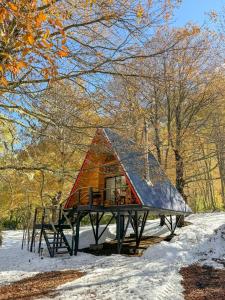 uma pequena cabana com um telhado na neve em Casa del Árbol - Malalcahuello em Malalcahuello