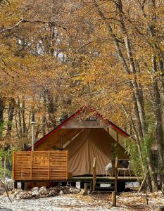 a large tent in the middle of a forest at Casa del Árbol - Glamping in Malalcahuello