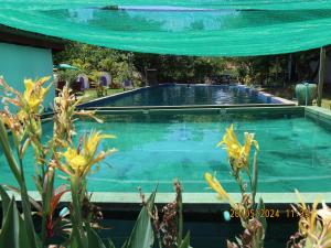 Bazén v ubytování Bohemiaz Resort and Spa Kampot nebo v jeho okolí